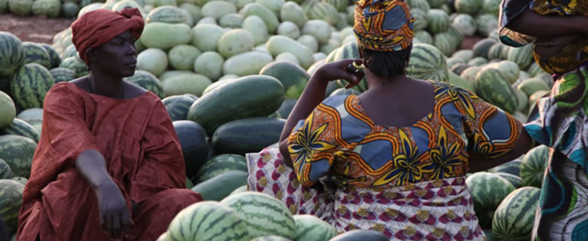 /bundles/emfrontend/assets/pics/slider/marche_fruits_afrique_640-1170x480